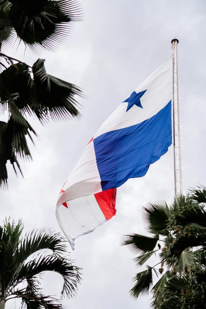 Panamanian flag on a flagpole among palm trees